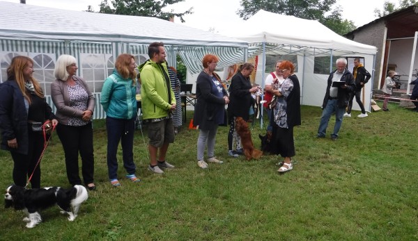 KV 2020-I, 11.7.2020, Městec Králové